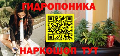мдпв Кимры