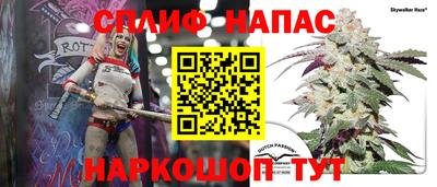 трава Кингисепп