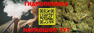 трава Кингисепп