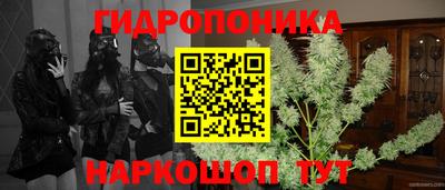 СК Кинель